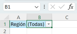 Control de filtro en tabla dinámica de Excel