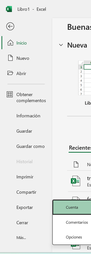 Activar pestaña Desarrollador en Excel